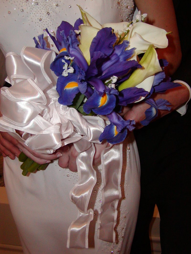Purple iris bouquet with satin ribbon